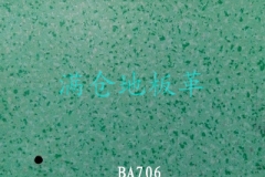 邯郸BA706
